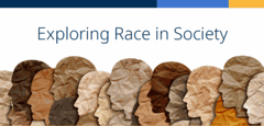 Exploring Race in Society Button